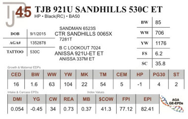 Lot 45 - TJB 921U SANDHILLS 530C ET